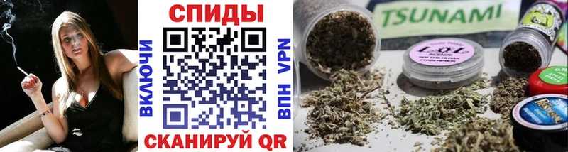 Бутират BDO 33% Пудож