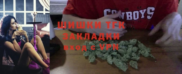 мяу мяу кристалл Няндома