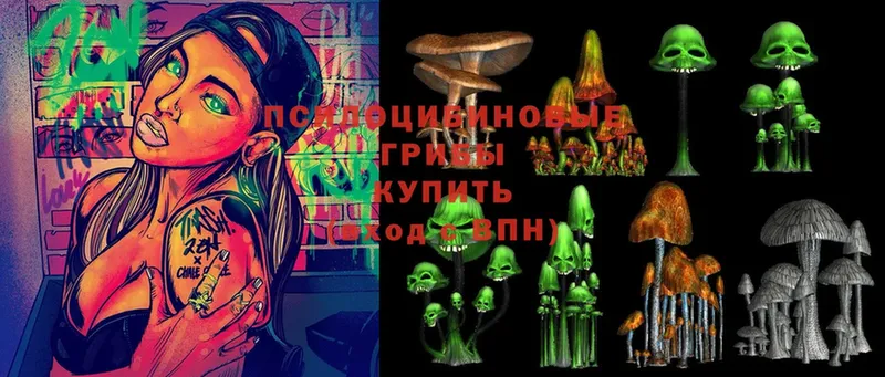 Псилоцибиновые грибы Magic Shrooms  Пудож 